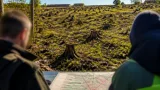 Președintele Gărzii Naționale de Mediu semnalează omisiuni la controalele din pădurile din Călărași