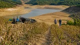 Seceta amenință recoltele de zmeură din Bihor: producţii la o treime din nivelul anului trecut