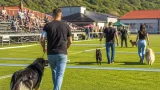 Șimian găzduiește Drobeta-Turnu Severin Dog Show 2026, două concursuri chinologice naționale