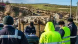 Transport ilegal de 50 de oi interceptat în Vaslui; sancţiune de 20.000 lei şi avertisment ANSVSA