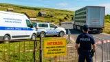 Tulcea: interdicţie totală a mişcării ovinelor şi caprinelor după confirmarea unor focare de varioză