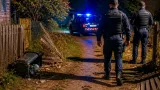 Urs în curtea unei gospodării de lângă Târgu Jiu: două garduri distruse, jandarmii au intervenit