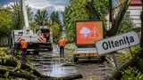 Vijelii în sud: copaci doborâți și străzi blocate în Oltenița; ANM a emis coduri portocalii