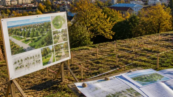 Primăria Baia Mare propune amenajarea unui „Parc al Castanilor” în zona colinară a municipiului