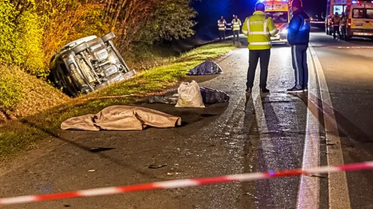 Accident mortal pe DN 61 în Dâmbovița: cinci victime, dosar penal pentru ucidere din culpă și conducere fără permis