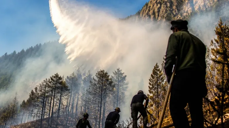 Incendii în Caraş-Severin: peste 60 ha afectate; focul a ajuns şi în Parcul Naţional Domogled