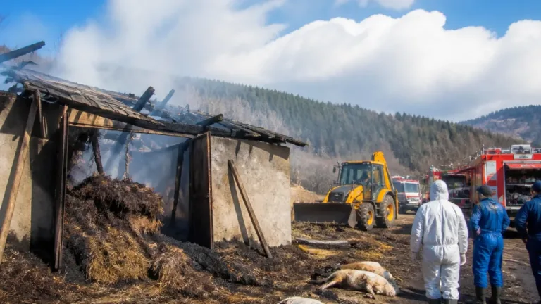 Incendiu în Sulița: opt capre sacrificate și peste cinci tone de furaje arse după un foc lăsat nesupravegheat