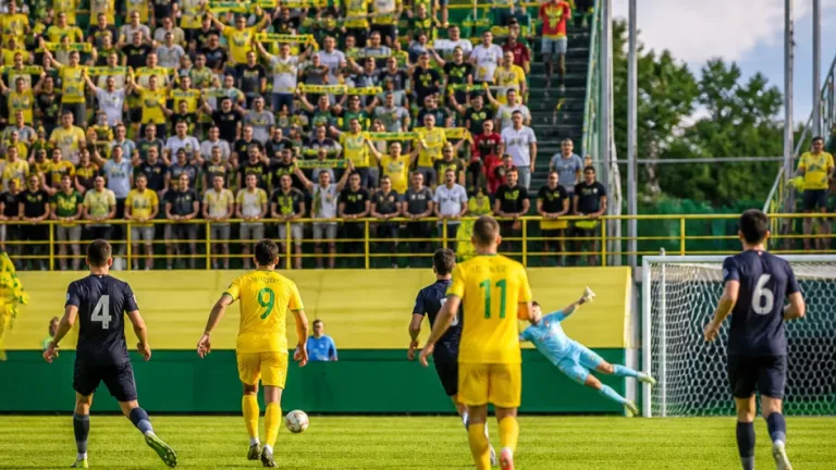 Mioveni: FC Argeș a remizat acasă cu FC Botoșani, 1-1, în etapa a IX-a a SuperLigii