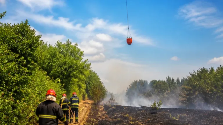 Peste 150 de hectare afectate de incendii de vegetaţie în Caraș-Severin; intervenţii cu elicopter şi echipe la sol