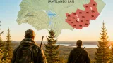 19 björnar sköts första dagen av licensjakten i Jämtlands län