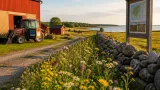 4,1 miljoner kronor till landsbygden i Blekinge – satsning på konkurrenskraft, djurvälfärd och biologisk mångfald