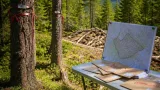 Birdlife överklagade 145 avverkningar i Jämtlands län — förklarar sitt agerande