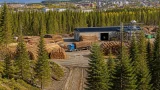 Debatten om skogen skjuter in sig på Jämtland – vad står på spel för länet?