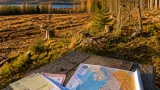 Fler älgar fällda i Värmland – avskjutningsmål höjs i delar av Grums