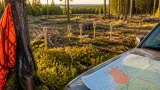 Fler älgar fälldes i Hallands län – Kungsbacka bröt trenden