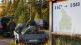 Fler älgar fälldes i Värmland – avskjutningsmålen höjs inför årets jakt