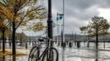 Håll i regnjackan i Heden – ihärdigt lätt regn och omkring 8 grader väntar