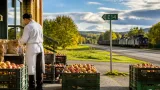Krav på snabba åtgärder för E14 och Meråkerbanan – lokal politik och matinitiativ i fokus