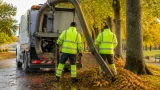 Lövupptagning på gång i Västervik efter klagomål från boende