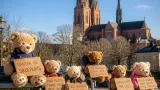 Moderaternas nalleaktion i Uppsala län vill synliggöra elever som uteblir från skolan