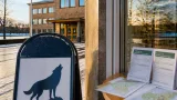 Nytt vargreferensvärde på 220 kan avgöra om vinterjakten öppnas i Värmland