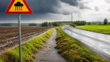SMHI varnar för skyfallsliknande regn i delar av Dalarnas län – upp till 30–60 mm lokalt