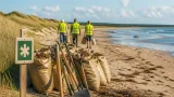 Strandkotula försvunnen från Rosendal i Falkenberg efter ideella insatser