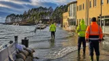 TCO-rapport: Blekinge riskområde för kustöversvämning – många saknar förtroende för kommunernas beredskap