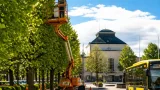 Trädbeskärning på Stora gatan påverkar centrala Köping under två veckor