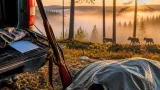 Varg skjuten efter flera angrepp norr om Karlskoga – jaktlaget rapporterade fler individer