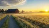 Växlande molnighet på Gotlands inland – mild natt följs av ostadigare vecka