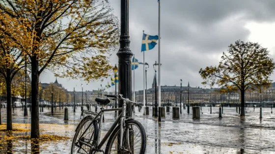 Håll i regnjackan i Heden – ihärdigt lätt regn och omkring 8 grader väntar