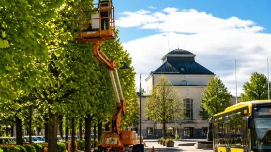 Trädbeskärning på Stora gatan påverkar centrala Köping under två veckor