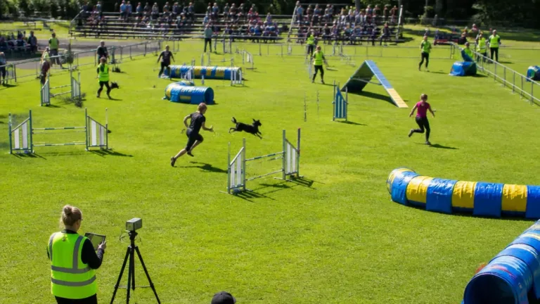 Agilityfest i Växjö: cirka 800 starter och 40 ideella funktionärer i helgen