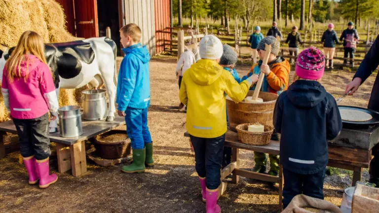 Femmor utforskade gården: från koskitar till tunnbrödsbak i Mullsjö