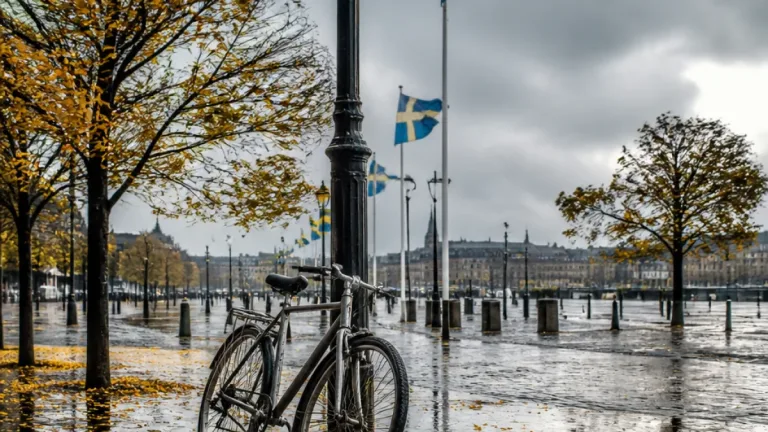 Håll i regnjackan i Heden – ihärdigt lätt regn och omkring 8 grader väntar