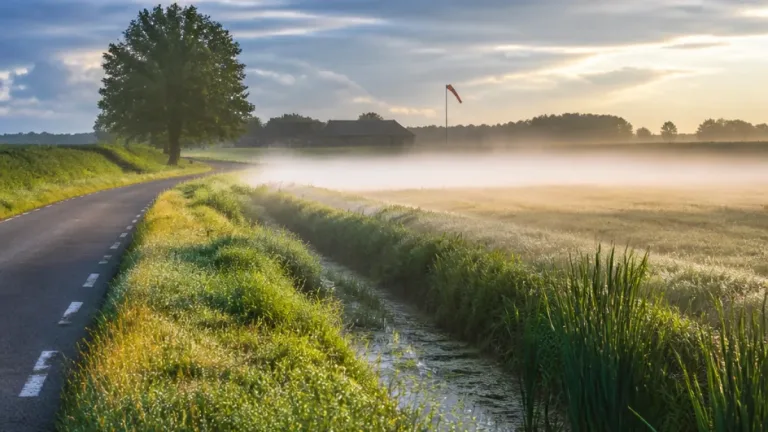 Klar natt över Glimminge men dimma och ökande vindar väntar — lätt regn mot helgen