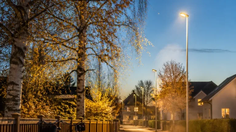 Klart och svalare kväll i Åkarp — sol och måttliga vindar väntas under helgen