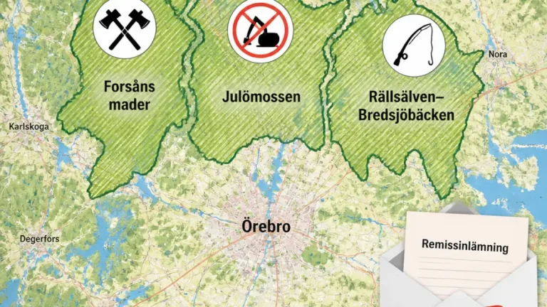 Länsstyrelsen föreslår utökning av tre naturreservat i Örebro län – remiss senast 10 oktober