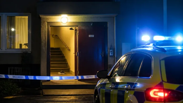 Man i 35-årsåldern anhållen efter larm om dunsar och skrik i Oxelösund