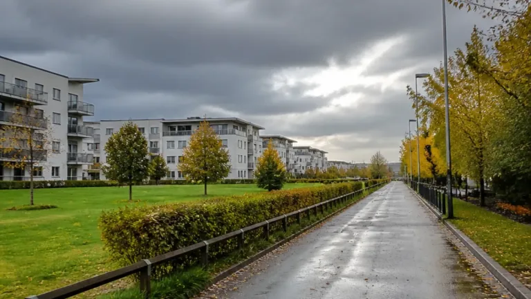 Mulet och svalare i Holma – lätt regn väntas under eftermiddagen