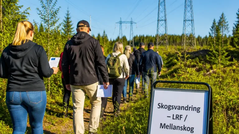 Politiker besökte skog i Uppsala – oro för äganderätt och konsekvenser av nya EU‑regler