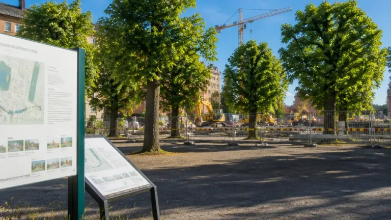 Politiker bestämmer trädenas öde vid Lilla torg i Halmstad