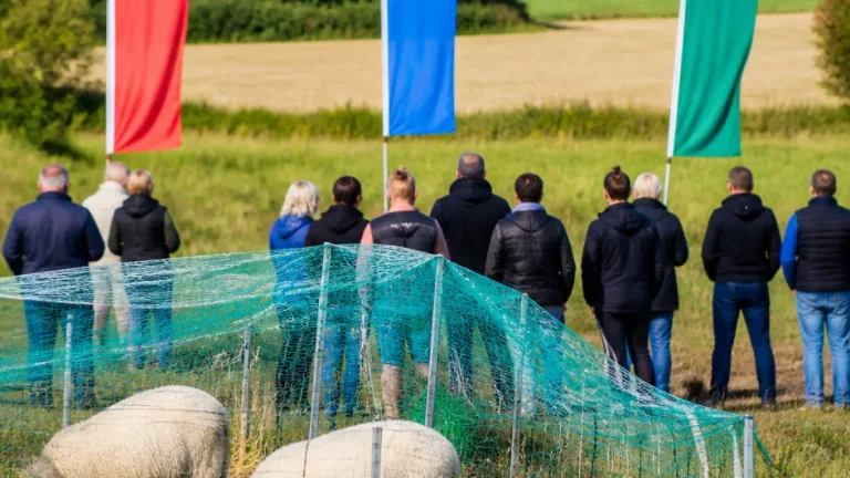 Politiskt samarbete i Åseda kring vargfrågan lyfter lokala konsekvenser för tamdjursägare