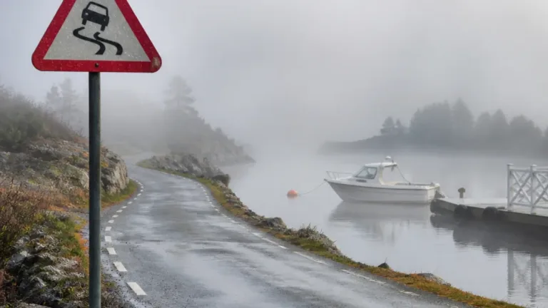 Tät dimma och begränsad sikt i Öja – regn och friskare vindar väntar senare i veckan