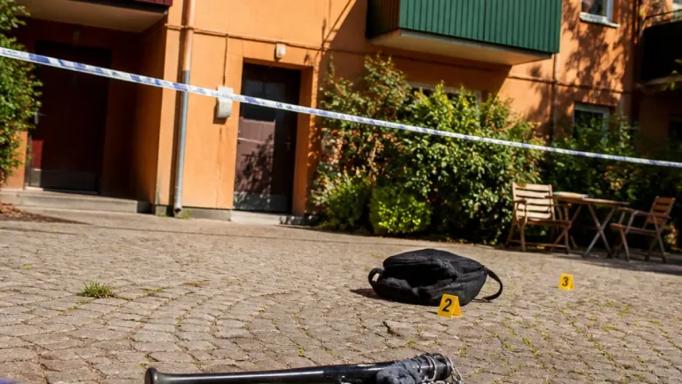Tonårspojke misshandlad i Landskrona — flera personer åtalas för grov misshandel