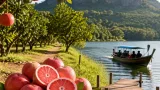 ชัยภูมิชวนเที่ยวเชิงเกษตรที่บ้านบุ่งสิบสี่ นั่งเรือชมเขื่อนน้ำพรม ชิมส้มโอแดงภูคิ้ง