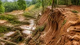 ฝนตกต่อเนื่องในพังงา ทำหน้าดินสวนยางพังทลาย ต้นยางหลายสิบต้นล้มเสียหาย