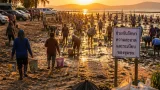 หาดปากบาราคึกคัก ประชาชน-นักท่องเที่ยวแห่เก็บหอยการัง จนชายหาดแน่น