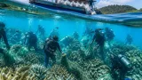 เครือข่ายอาสาดำน้ำ 31 คน ลงพื้นที่สตูลเก็บขยะใต้ทะเล ฟื้นฟูแนวปะการัง